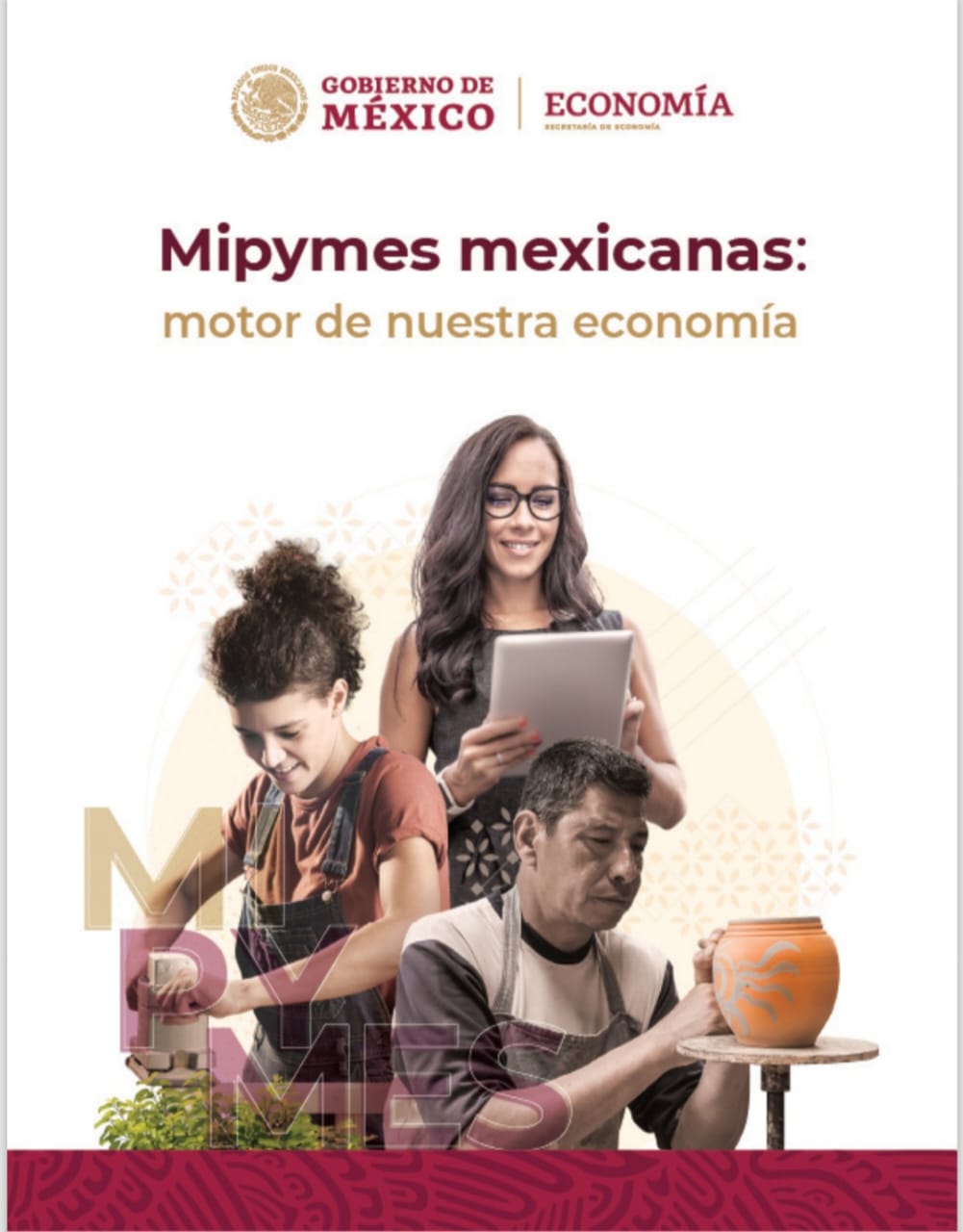 Mipymes Mexicanas