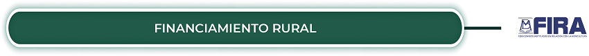 Financiamiento Rural